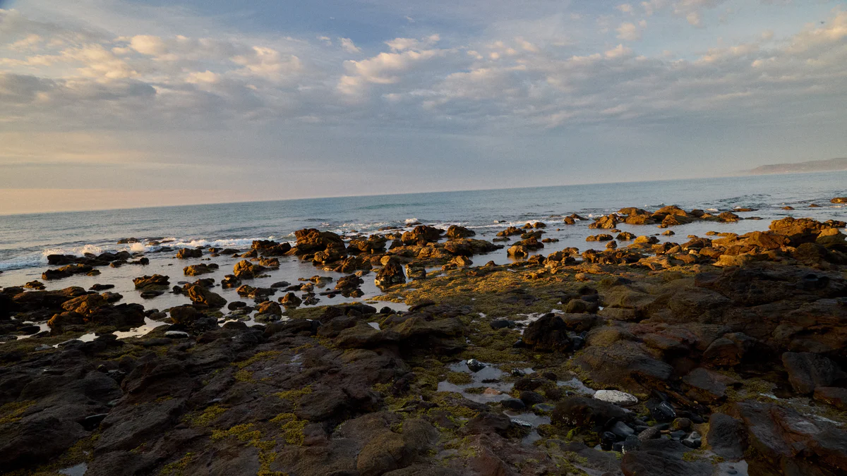 Conscious Style, Functionally Refined